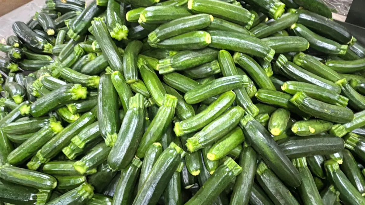 Baby Marrow