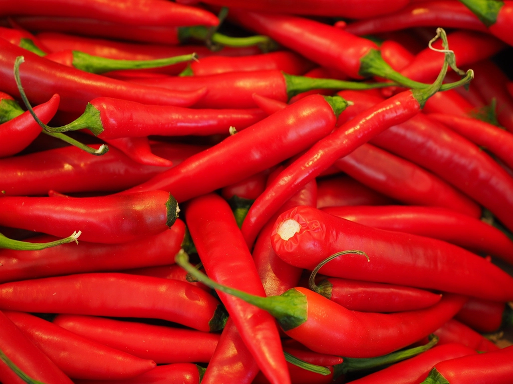 Bird's Eye Chilli