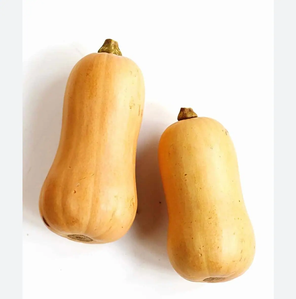 Butternut