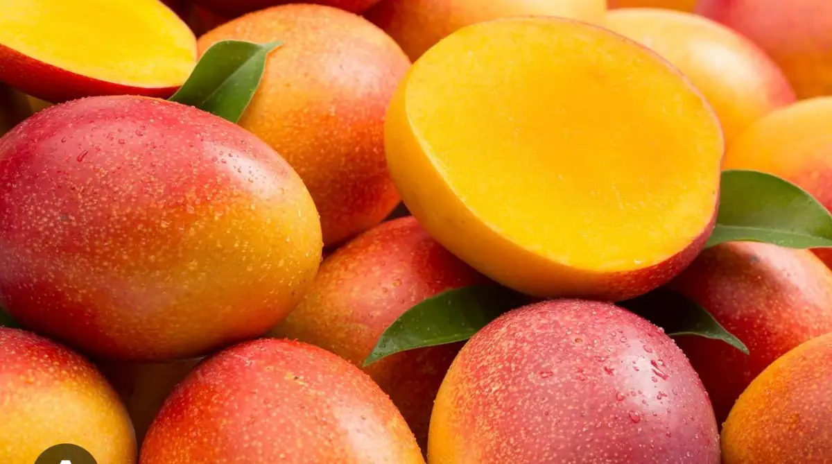 Mangoes