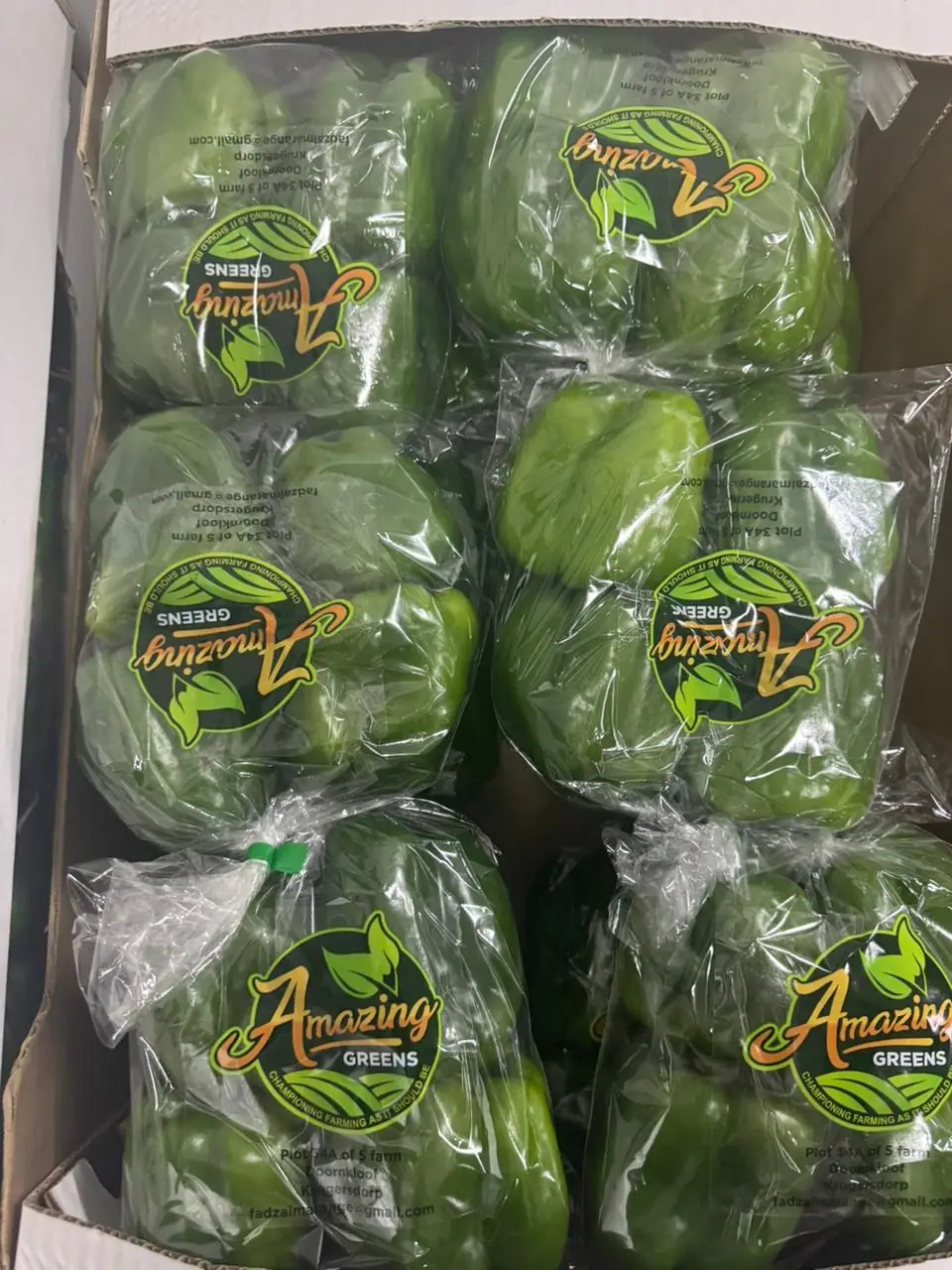 Green peppers bagged and boxed under the Amazing Greens label
