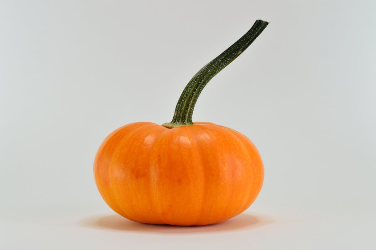 Hubbard Squash