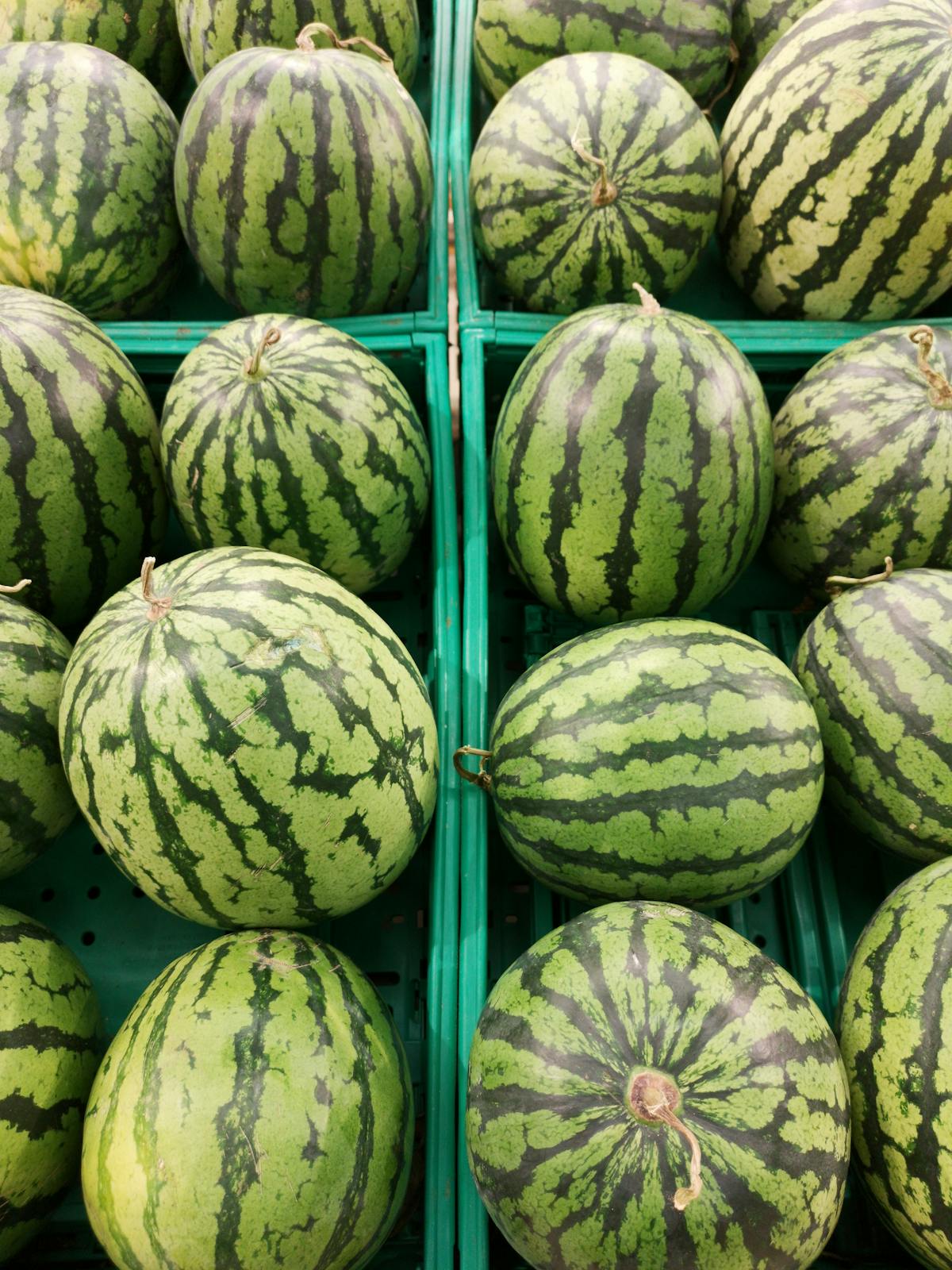 Watermelon